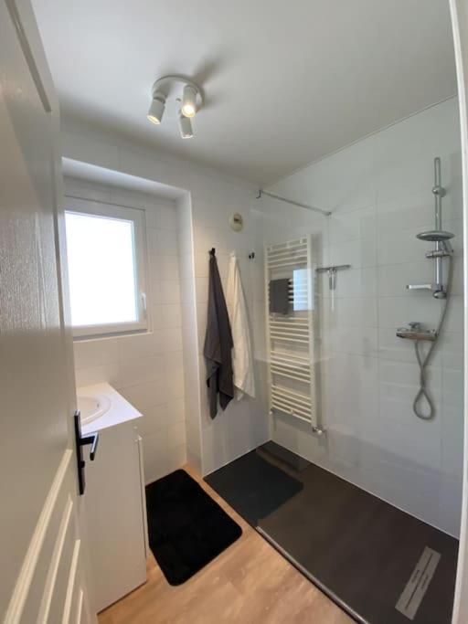 Magnifique Renove Duplex Vue 8 Pers * Évian-les-Bains