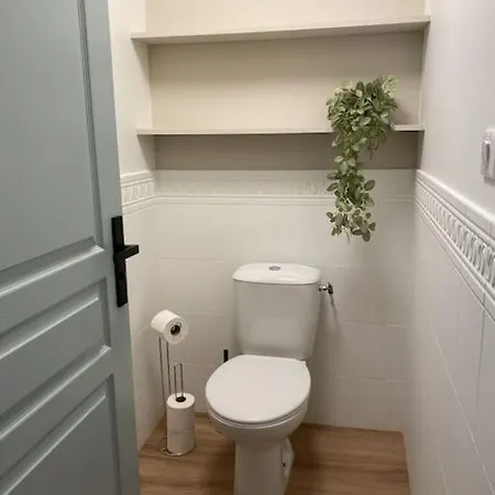 Magnifique Appart Renove Evian Duplex Vue Lac 8 Pers Buitenkant foto